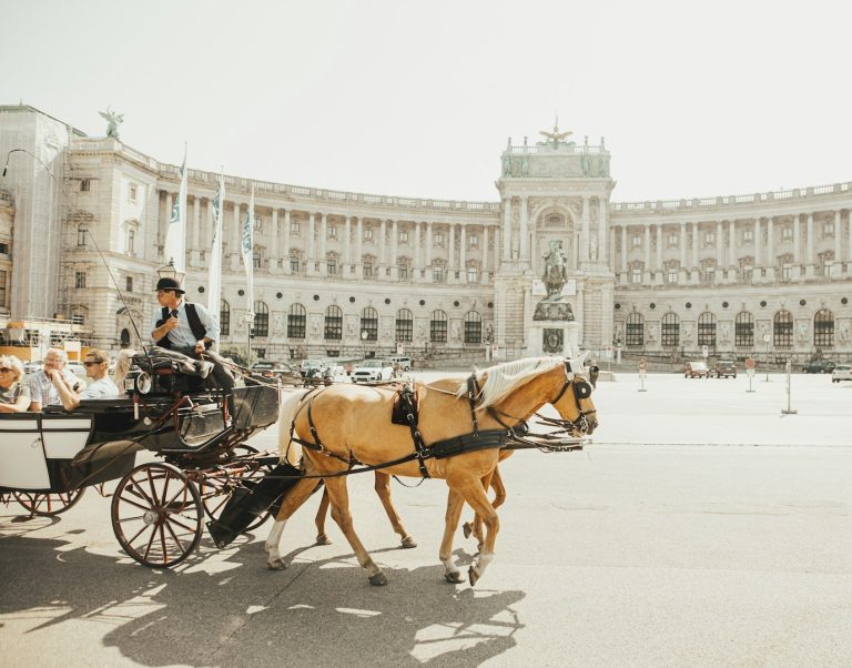 Pferdekutsche mit Fahrer vor historischer Architektur in einer sonnigen Umgebung.